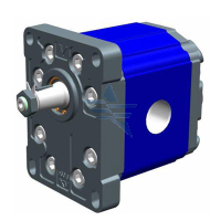 BSP Ported Hydraulic Pumps