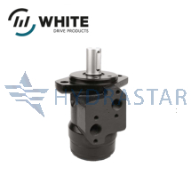 WP Series Motors (155) WP Series Motors (155)
